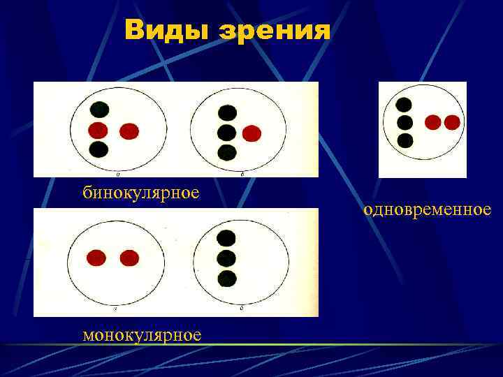 Виды зрения бинокулярное л монокулярное одновременное 