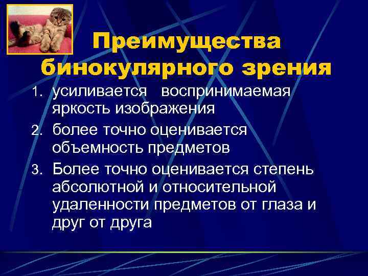 Преимущества бинокулярного зрения 1. усиливается воспринимаемая яркость изображения 2. более точно оценивается объемность предметов