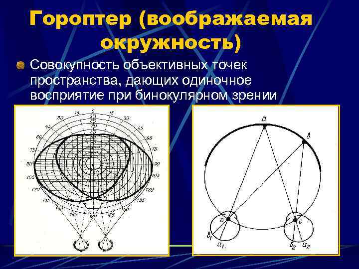 Гороптер (воображаемая окружность) Совокупность объективных точек пространства, дающих одиночное восприятие при бинокулярном зрении 