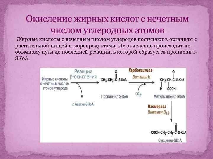 Бета окисление схема