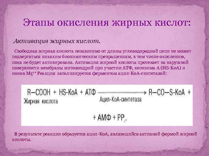 Окисление кислот. Фаза активации жирной кислоты. Активация жирных кислот. Реакция активации жирной кислоты. Активация пальмитиновой кислоты.