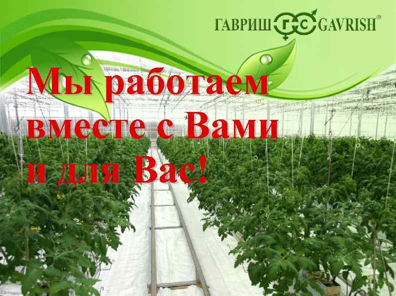 Мы работаем вместе с Вами и для Вас! 