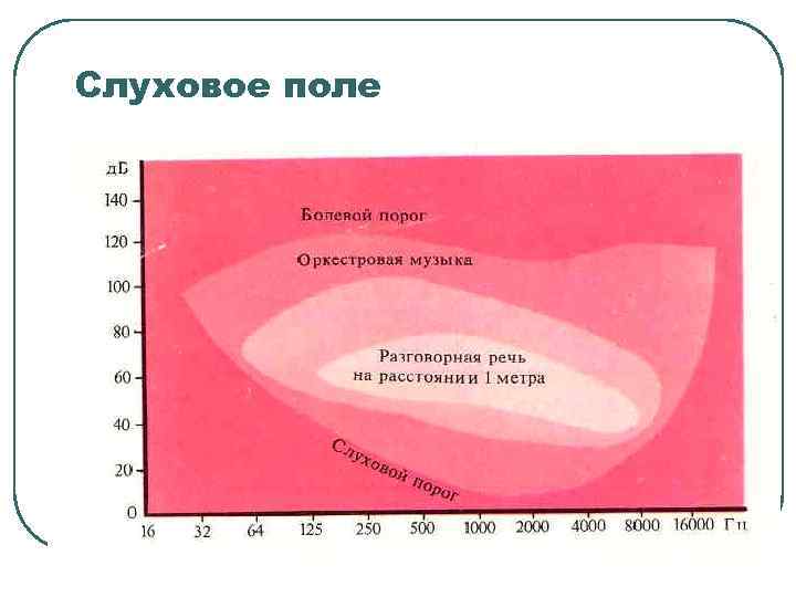 Слуховое поле 