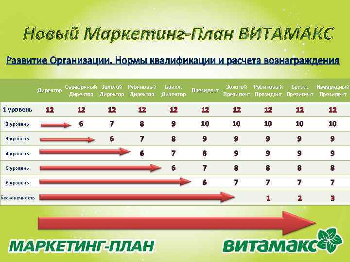 Новый Маркетинг-План ВИТАМАКС Директор Серебряный Золотой Рубиновый Брилл. Изумрудный Президент Директор Президент 1 уровень