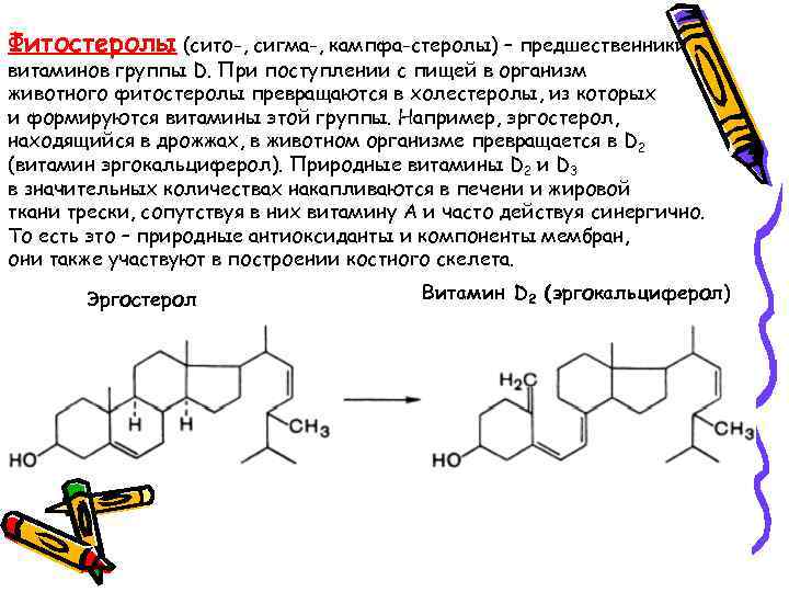 Фитостеролы (сито-, сигма-, кампфа-стеролы) – предшественники витаминов группы D. При поступлении с пищей в