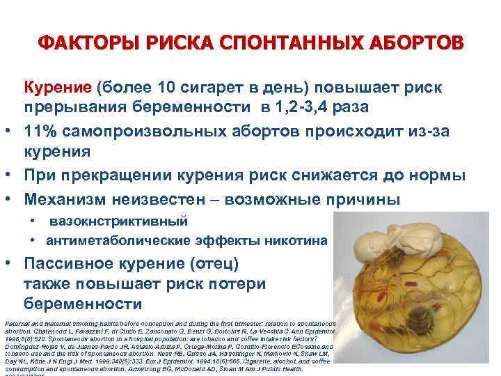 ФАКТОРЫ РИСКА СПОНТАННЫХ АБОРТОВ Курение (более 10 сигарет в день) повышает риск Курение прерывания