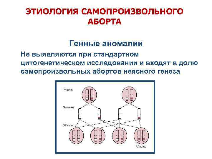 ЭТИОЛОГИЯ САМОПРОИЗВОЛЬНОГО АБОРТА Генные аномалии Не выявляются при стандартном цитогенетическом исследовании и входят в