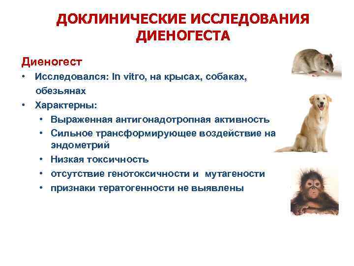 ДОКЛИНИЧЕСКИЕ ИССЛЕДОВАНИЯ ДИЕНОГЕСТА Диеногест • Исследовался: In vitro, на крысах, собаках, обезьянах • Характерны: