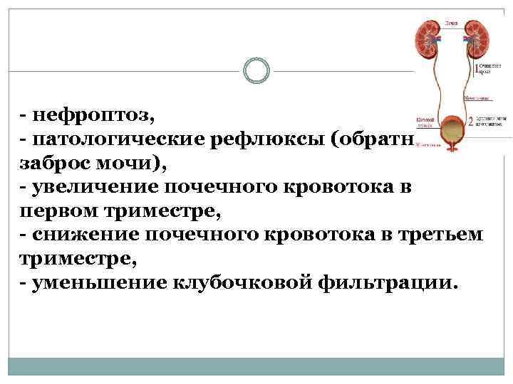 Нефроптоз код мкб