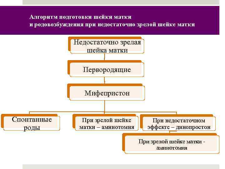 Алгоритм подготовки шейки матки и родовозбуждения при недостаточно зрелой шейке матки Недостаточно зрелая шейка