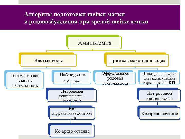 Алгоритм подготовки шейки матки и родовозбуждения при зрелой шейке матки Амниотомия Чистые воды Эффективная