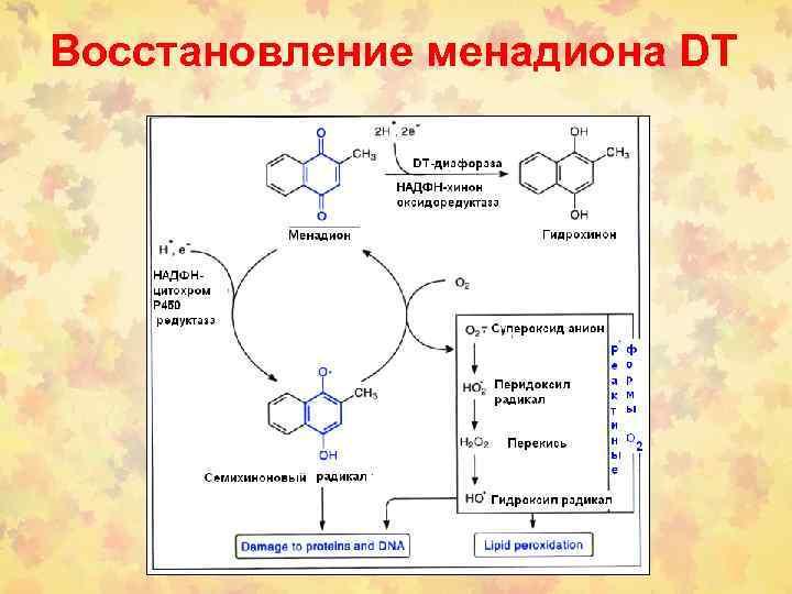 Восстановление менадиона DT 