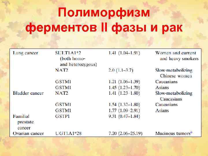 Полиморфизм ферментов II фазы и рак 
