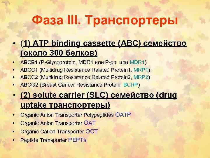 Фаза III. Транспортеры • (1) ATP binding cassette (ABC) семейство (около 300 белков) •