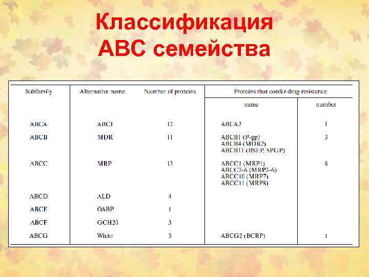 Классификация АВС семейства 