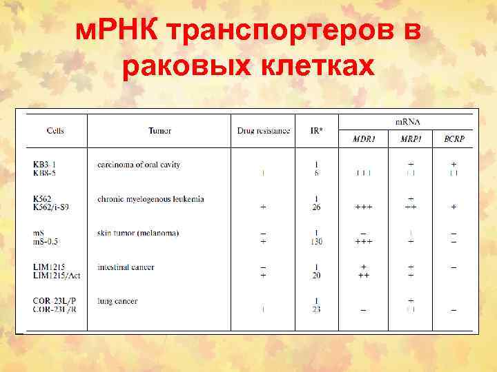 м. РНК транспортеров в раковых клетках 