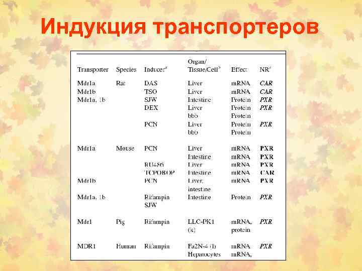 Индукция транспортеров 