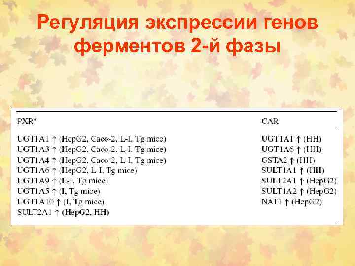 Регуляция экспрессии генов ферментов 2 -й фазы 