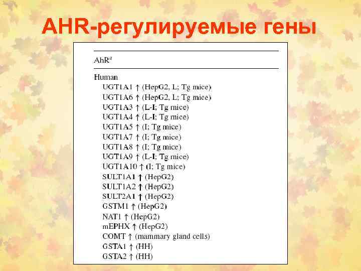 AHR-регулируемые гены 
