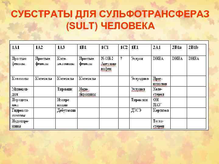 СУБСТРАТЫ ДЛЯ СУЛЬФОТРАНСФЕРАЗ (SULT) ЧЕЛОВЕКА 