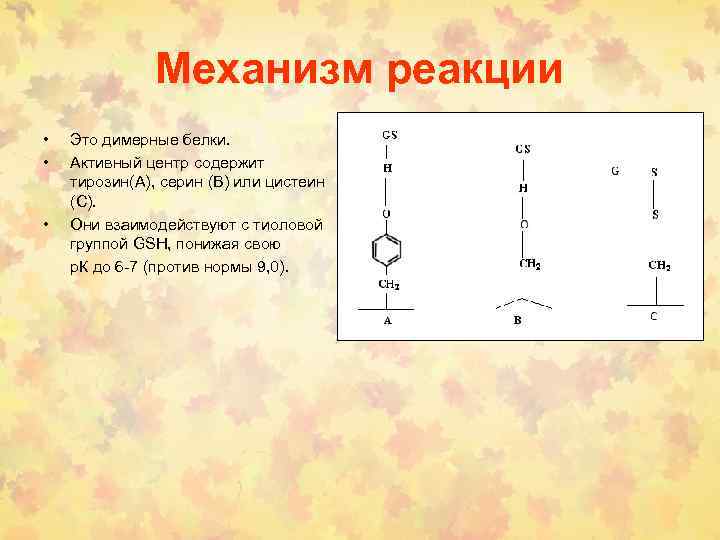 Механизм реакции • • • Это димерные белки. Активный центр содержит тирозин(A), серин (B)