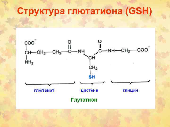 Структура глютатиона (GSH) 