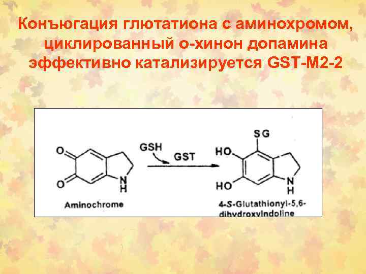 Конъюгация глютатиона с аминохромом, циклированный о-хинон допамина эффективно катализируется GST-M 2 -2 