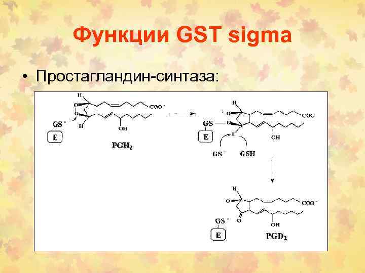 Функции GST sigma • Простагландин-синтаза: 