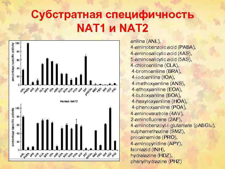 Субстратная специфичность NAT 1 и NAT 2 aniline (ANL), 4 -aminobenzoic acid (PABA), 4