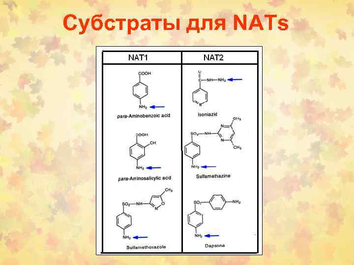 Субстраты для NATs 