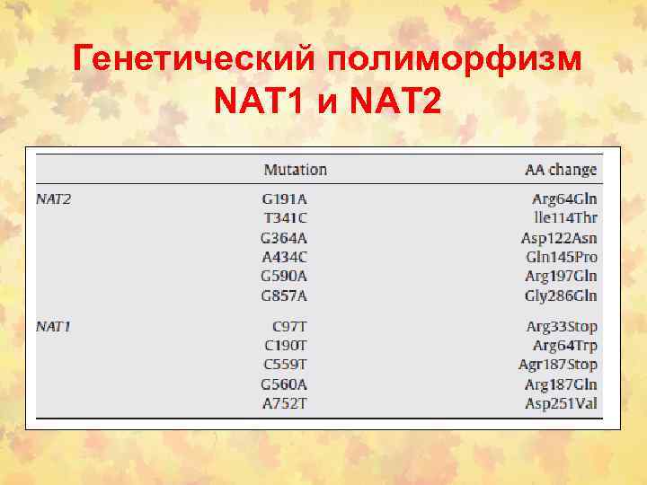 Генетический полиморфизм NAT 1 и NAT 2 