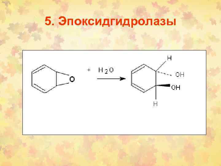 5. Эпоксидгидролазы 