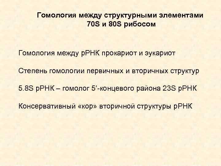 Гомология между структурными элементами 70 S и 80 S рибосом Гомология между р. РНК