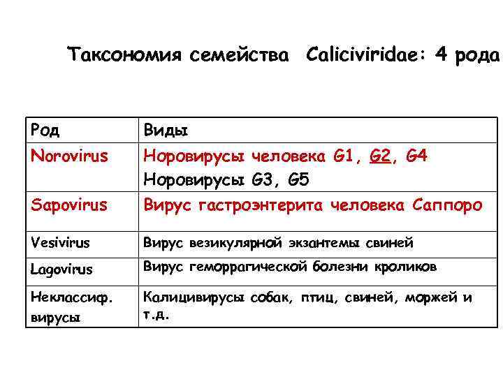 Таксономия семейства Caliciviridae: 4 рода Род Виды Norovirus Sapovirus Норовирусы человека G 1, G