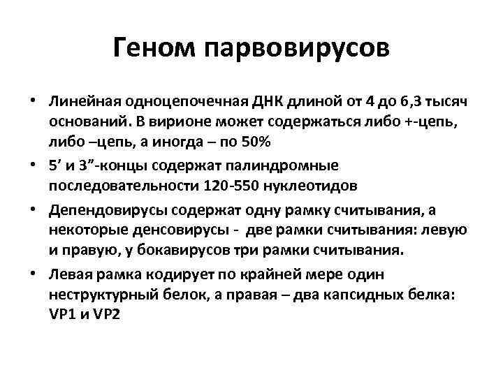 Геном парвовирусов • Линейная одноцепочечная ДНК длиной от 4 до 6, 3 тысяч оснований.