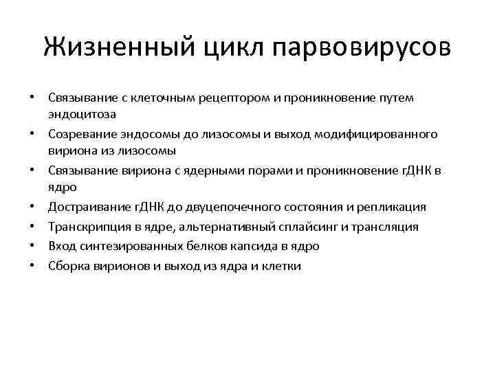 Жизненный цикл парвовирусов • Связывание с клеточным рецептором и проникновение путем эндоцитоза • Созревание