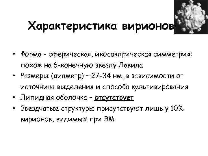 Характеристика вирионов • Форма – сферическая, икосаэдрическая симметрия; похож на 6 -конечную звезду Давида