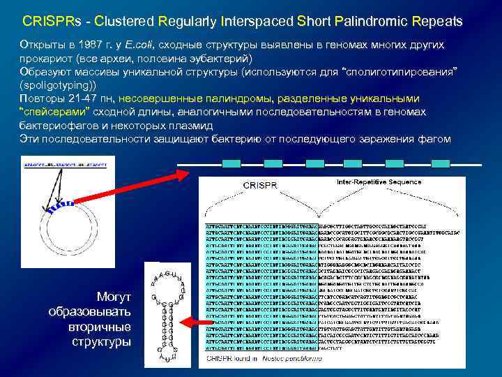 CRISPRs - Clustered Regularly Interspaced Short Palindromic Repeats Открыты в 1987 г. у E.