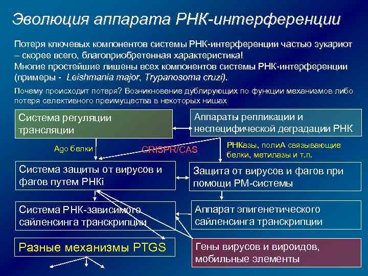 Эволюция аппарата РНК-интерференции Потеря ключевых компонентов системы РНК-интерференции частью эукариот – скорее всего, благоприобретенная