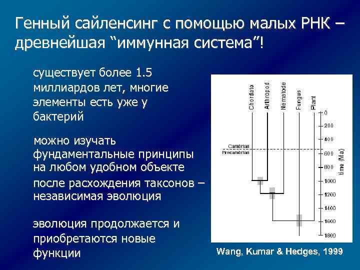 Генный сайленсинг с помощью малых РНК – древнейшая “иммунная система”! существует более 1. 5