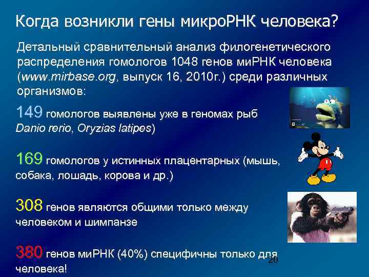 Когда возникли гены микро. РНК человека? Детальный сравнительный анализ филогенетического распределения гомологов 1048 генов