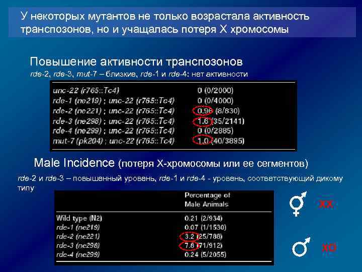 У некоторых мутантов не только возрастала активность транспозонов, но и учащалась потеря Х хромосомы