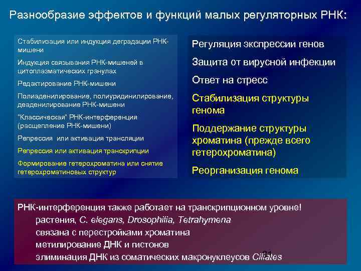 Разнообразие эффектов и функций малых регуляторных РНК: Стабилизация или индукция деградации РНКмишени Регуляция экспрессии