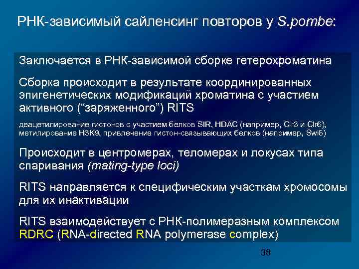 РНК-зависимый сайленсинг повторов у S. pombe: Заключается в РНК-зависимой сборке гетерохроматина Сборка происходит в