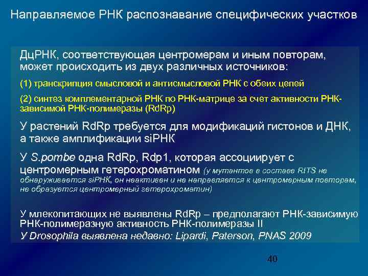 Направляемое РНК распознавание специфических участков Дц. РНК, соответствующая центромерам и иным повторам, может происходить