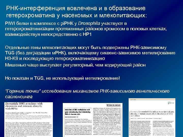 РНК-интерференция вовлечена и в образование гетерохроматина у насекомых и млекопитающих: PIWI белки в комплексе