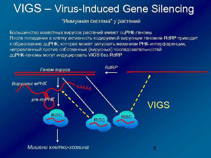 VIGS – Virus-Induced Gene Silencing “Иммунная система” у растений Большинство известных вирусов растений имеют