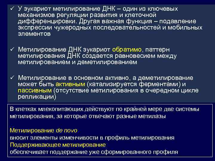 ü У эукариот метилирование ДНК – один из ключевых механизмов регуляции развития и клеточной