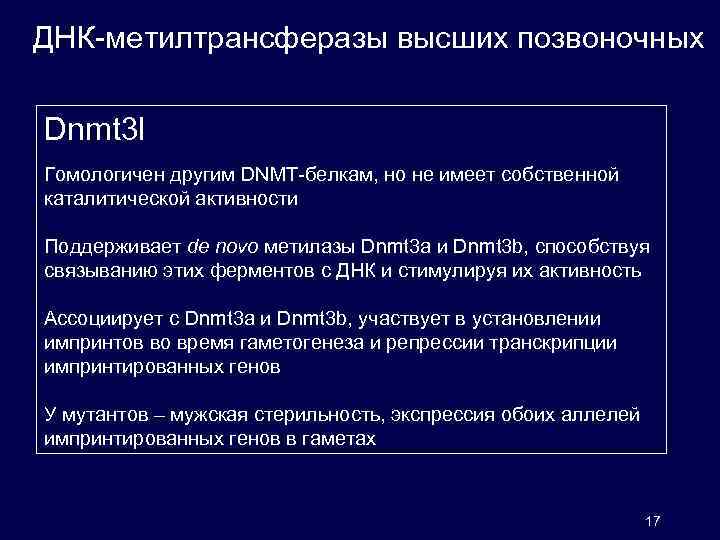 ДНК-метилтрансферазы высших позвоночных Dnmt 3 l Гомологичен другим DNMT-белкам, но не имеет собственной каталитической