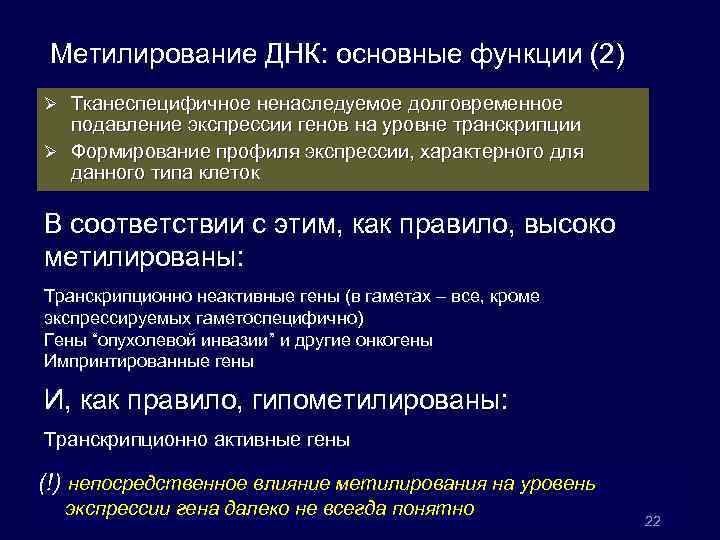 Влияет на экспрессию генов. Метилирование генов функции. Метилирование ДНК роль. Роль метилирования ДНК функции. Метилирование белков биологическая роль.